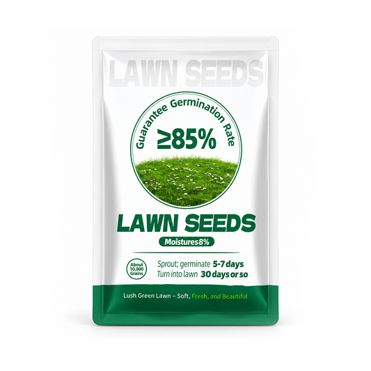 Quick Grow Grass Seed – Repair Bare Spots & Build a Thick Green Lawn