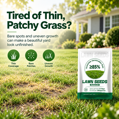 Quick Grow Grass Seed – Repair Bare Spots & Build a Thick Green Lawn